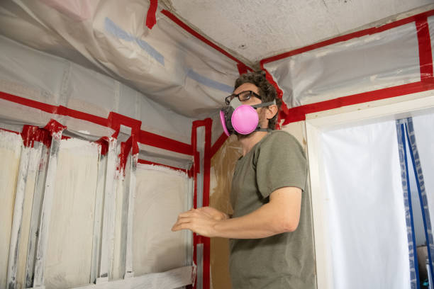 Mold Removal for HVAC Installations