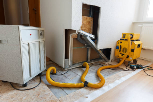 Environmental Consulting for Mold Prevention in North Lakes, AK